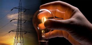 PLTN Jadi Solusi Industri Kalbar