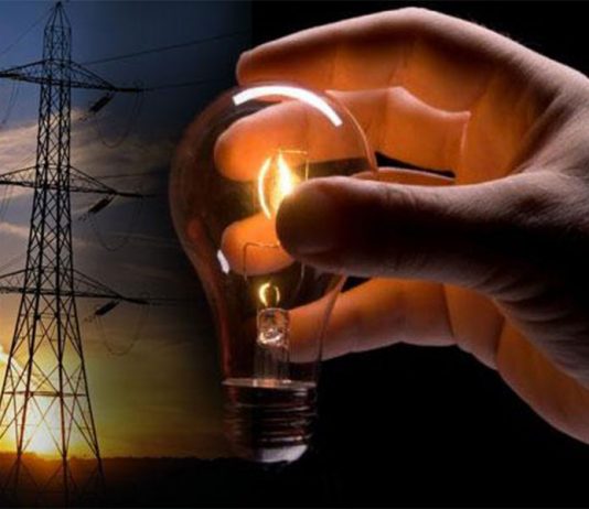 PLTN Jadi Solusi Industri Kalbar