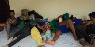 Sengkarut PT Sintang Raya, Kaum Tani Surati Presiden Jokowi