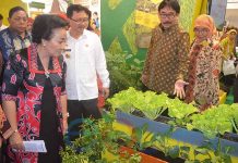 Hapus Persepsi Belum Makan Nasi Artinya Belum Makan