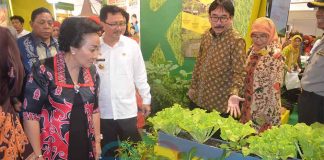 Hapus Persepsi Belum Makan Nasi Artinya Belum Makan