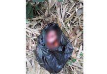 Masya Allah, Bayi Baru Lahir Dibuang