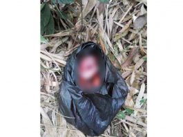 Masya Allah, Bayi Baru Lahir Dibuang