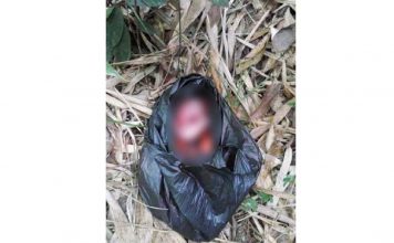 Masya Allah, Bayi Baru Lahir Dibuang