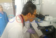 Rabies, Korban Berjatuhan Barulah Pusat Kirim Bantuan