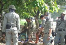 Langgar Perda, 53 Lapak PKL Ditertibkan