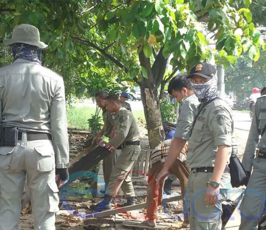 Langgar Perda, 53 Lapak PKL Ditertibkan