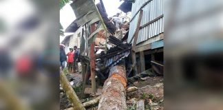 Jenguk Cucu, Tewas Ditimpa Pohon Durian