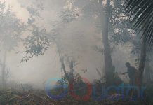 April-Mei Dua Kejadian, Tiba-tiba Agustus Jadi 34