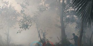 April-Mei Dua Kejadian, Tiba-tiba Agustus Jadi 34