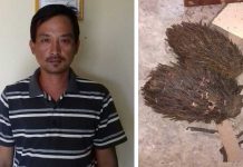 Curi TBS, Dijual ke Sanggau Ledo