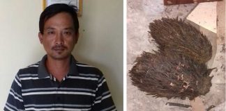 Curi TBS, Dijual ke Sanggau Ledo