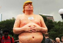 Hiburan Segar Beraroma Trump