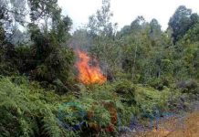 Presiden: Reward atau Berikan Hukuman