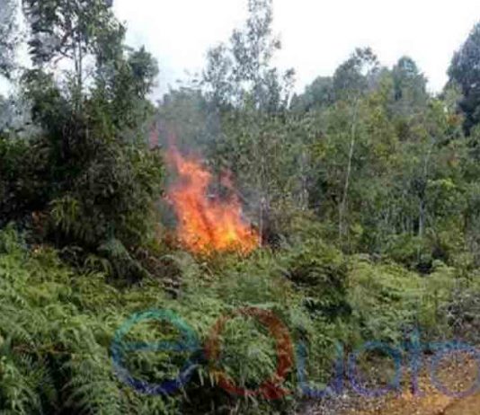 Presiden: Reward atau Berikan Hukuman