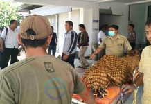 Beli Nasi Goreng, Petugas KSOP Ditemukan Tewas