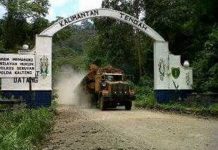 Salah Letak, Pintu Gerbang Kalbar-Kalteng akan Dirobohkan