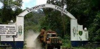 Salah Letak, Pintu Gerbang Kalbar-Kalteng akan Dirobohkan