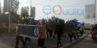 “Binatang Langka” Berkeliaran di Mempawah