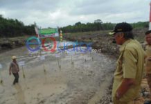 Lahan Sawah Baru Jangan Ditanami Sawit
