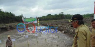 Lahan Sawah Baru Jangan Ditanami Sawit