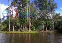 23 Danau Lindung untuk Jaga Kelestarian Ikan