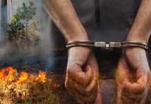 Sudah 9 Korporasi Disegel Polda Kalbar