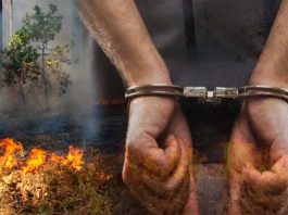 Delapan Tersangka Pembakar Lahan (Masih) dalam Proses