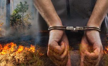 Delapan Tersangka Pembakar Lahan (Masih) dalam Proses