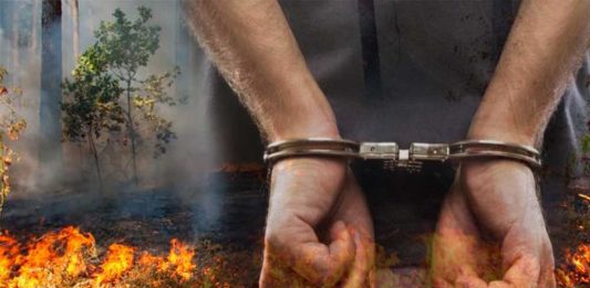 Warning Bagi Pemilik Lahan