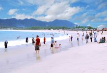 Pantai Pulau Datok Ditutup Sementara