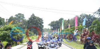 Mau Kongsi dengan Indonesia Jual Hutan untuk Pariwisata