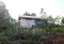 Rumah Transmigrasi Diperjualbelikan, Disnakertransos Tata Ulang Penduduk Lokal