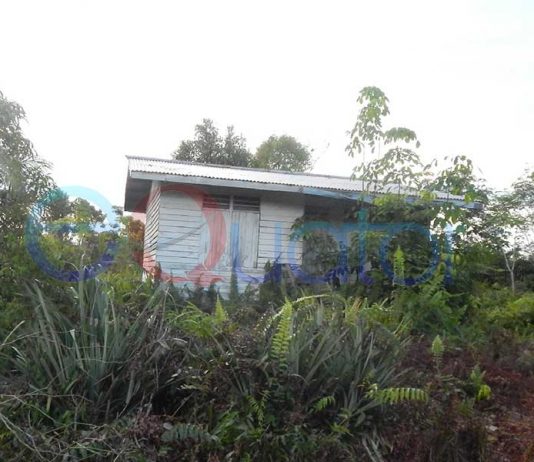 Rumah Transmigrasi Diperjualbelikan, Disnakertransos Tata Ulang Penduduk Lokal