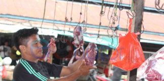 Harga Daging Sapi Potong Jelang Idul Adha