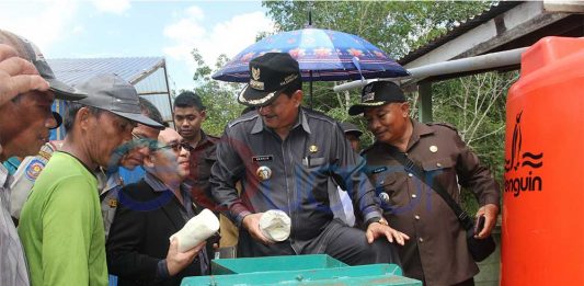 Kapuas Hulu Sentra Ubi Kayu, Warga Trans Kembangkan Tepung Mokaf