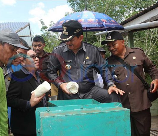 Kapuas Hulu Sentra Ubi Kayu, Warga Trans Kembangkan Tepung Mokaf