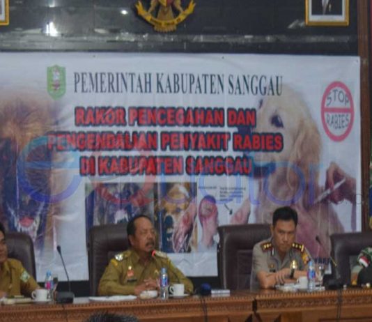 Sepuluh Kecamatan Tertular, Lima Terancam, Sayang Anjing atau Keluarga?