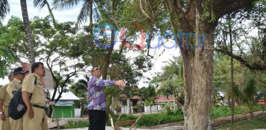 Lengkapi Taman Akcaya dengan Perpustakaan