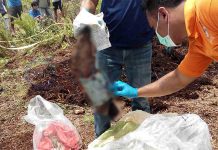 Dikira Mayat Bayi, Rupanya Potongan Kaki