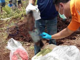 Dikira Mayat Bayi, Rupanya Potongan Kaki