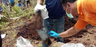 Dikira Mayat Bayi, Rupanya Potongan Kaki