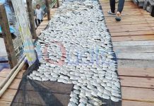 Olahan Tradisional Bernilai Ekonomis