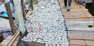 Olahan Tradisional Bernilai Ekonomis