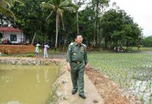 Bulog Operasi Pasar Hingga ke Perbatasan