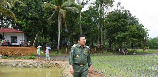 Bulog Operasi Pasar Hingga ke Perbatasan