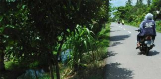 Ruas Jalan Provinsi Tak Berbahu Jalan