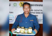 Madu Musim Kemarau Lebih Berkualitas