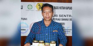 Madu Musim Kemarau Lebih Berkualitas