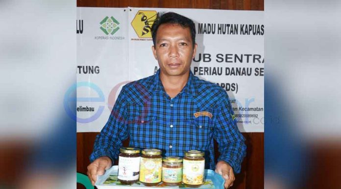 Madu Musim Kemarau Lebih Berkualitas